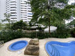 Mount Elizabeth Link (D9), Condominium #466085541